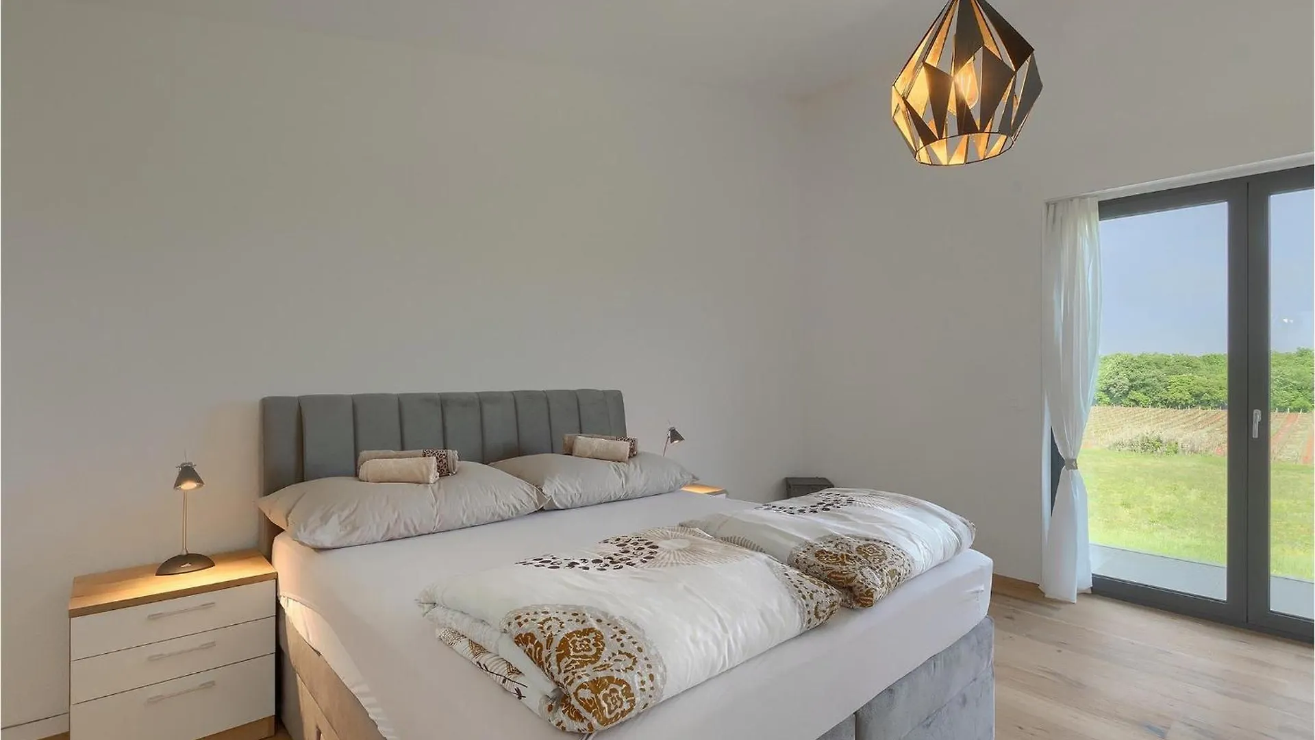 Villa Felice Novigrad Buzinija